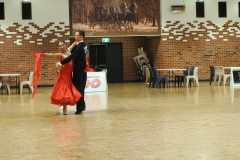 DSCN8395