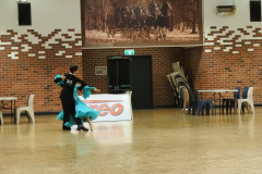 DSCN8566